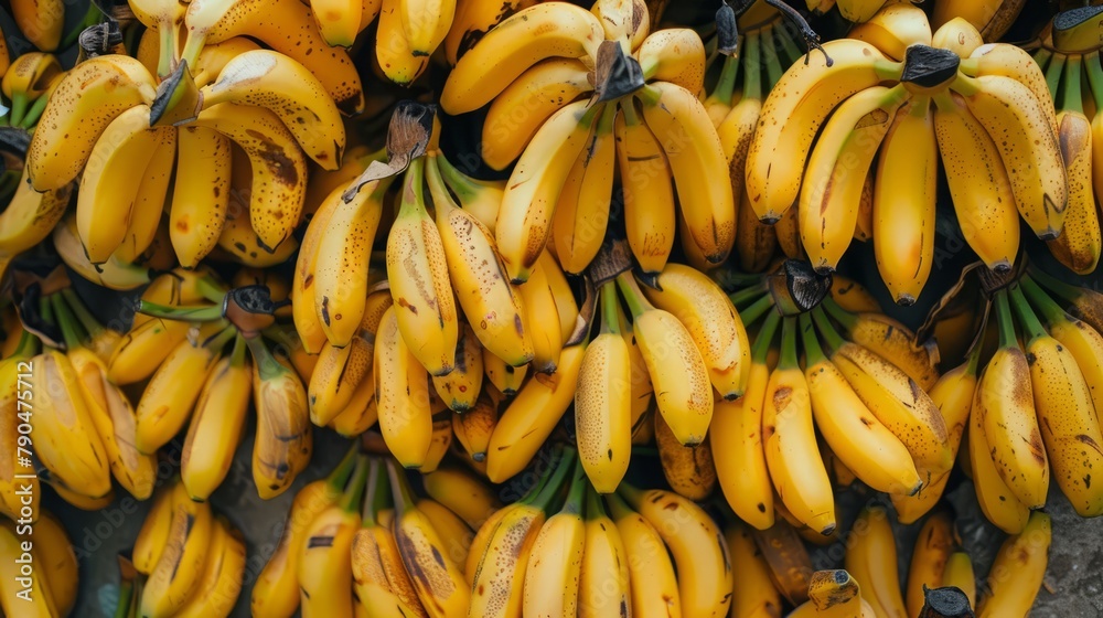 Bunch of fresh bananas ripe background