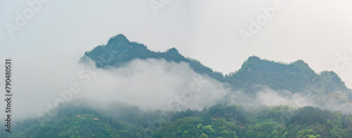 mountain landscape with fog. Towering mountain peaks atop hills in the Mount zhangjiajie  surrounded by thick clouds and mist in the morning. xiangxi, Hunan, China. zhangjiajie national forest park.