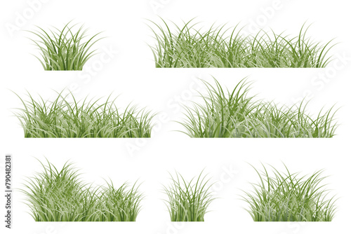 set of green grass