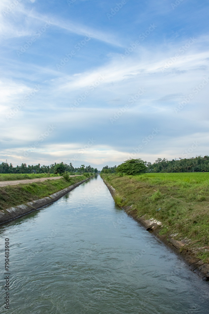 Irrigation of rice fields in Indonesia