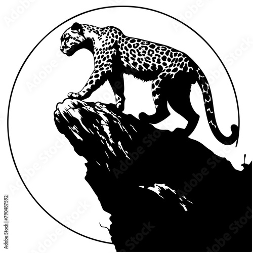 leopard on rock silhouette