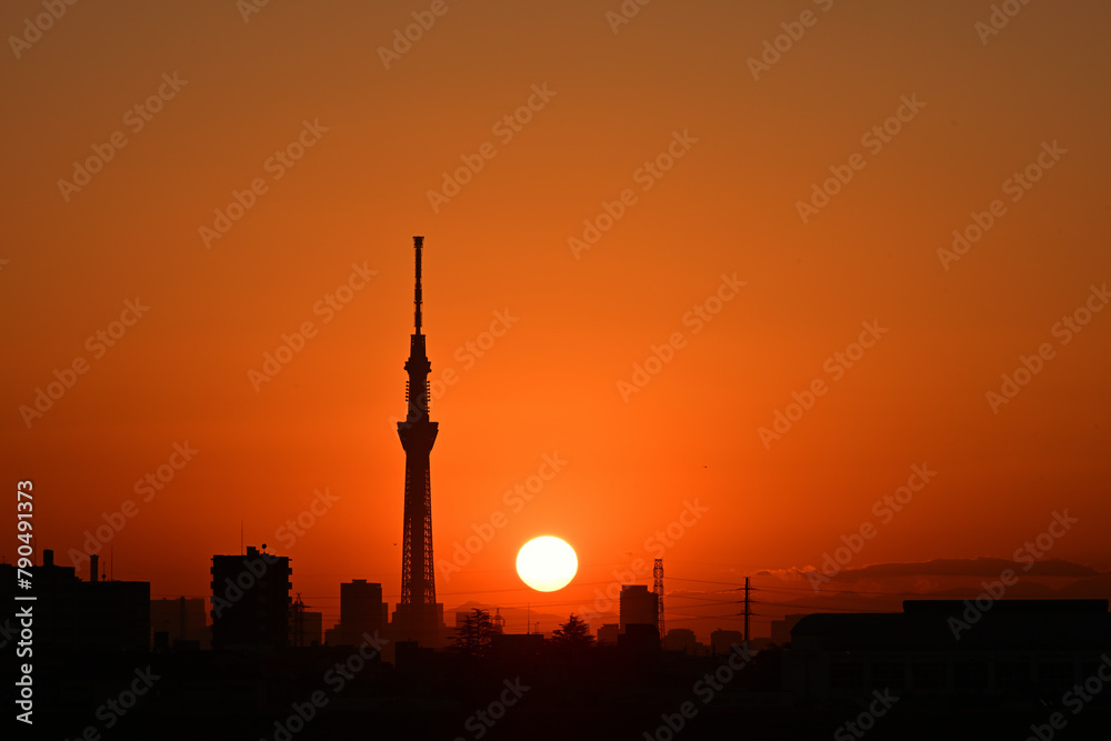 スカイツリーと夕日