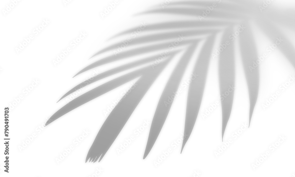 Obraz premium Shadow overlay effect, light overlay