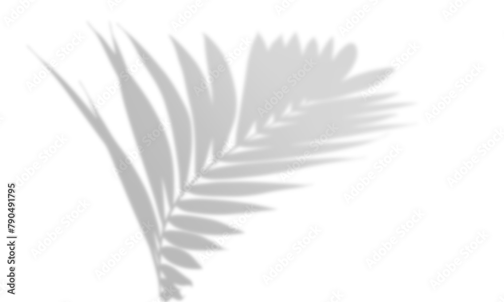 Shadow overlay effect, light overlay Shadow overlay effect, light overlay