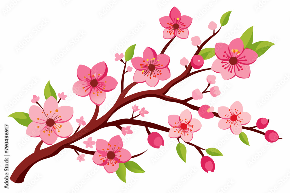 plum-blossom-vector illustration-white-background