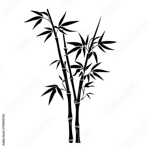 Bamboo plant silhouette