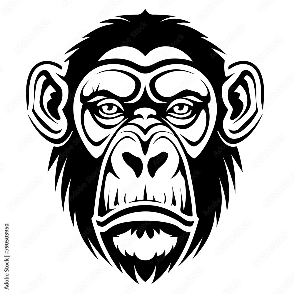 Chimpanzee face