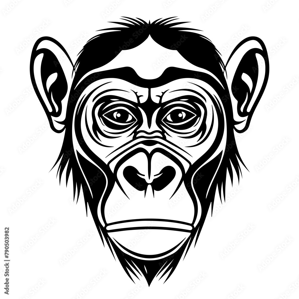 Chimpanzee head front