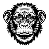 Chimpanzee face