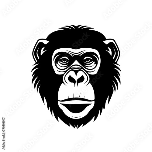 Chimpanzee face