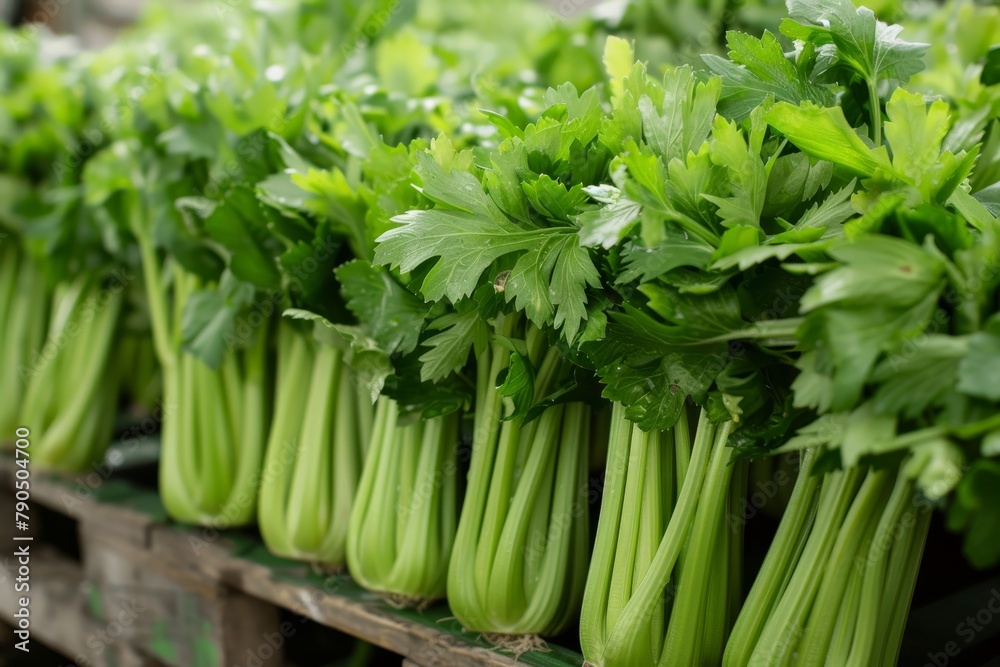 Fresh green celery bunches on a wooden pallet Fresh green celery bunches on a wooden pallet