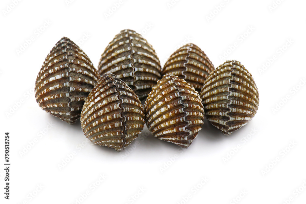 Fresh cockles on a white background. Natural seafood. Fresh cockles on a white background. Natural seafood.
