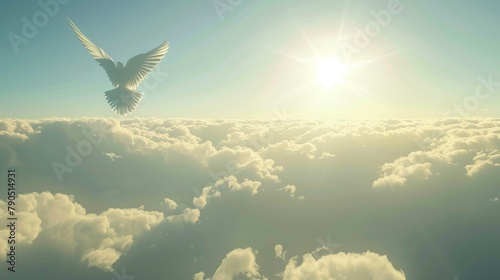 A white dove soars through the clouds toward the sun.