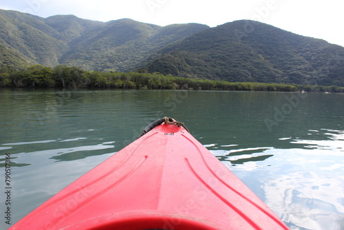 Kayaking the calm water on the  mangrove forest river in Amami Oshima Island