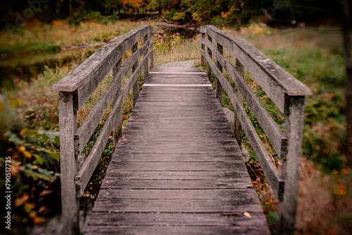 wooden bridge in the woods