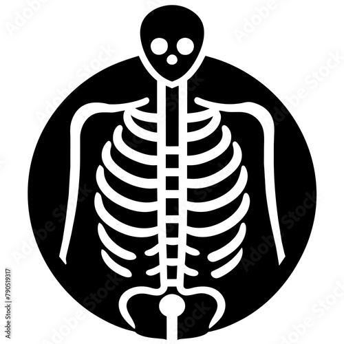 Skeletal Health Line Icon illustration 