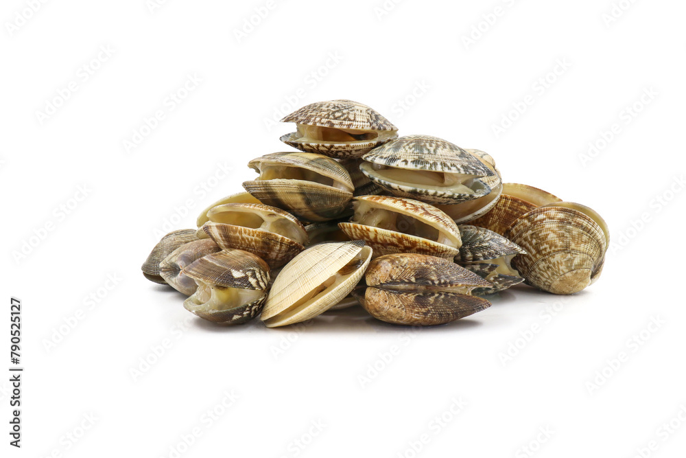 Closed up fresh baby clams, venus shell, shellfish, carpet clams, short necked clams, as raw food from the sea are the seafood ingredients. fresh clams Background. Closed up fresh baby clams, venus shell, shellfish, carpet clams, short necked clams, as raw food from the sea are the seafood ingredients. fresh clams Background.