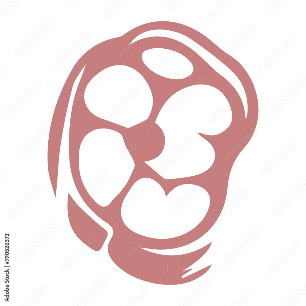 Fototapeta premium Steak Icon