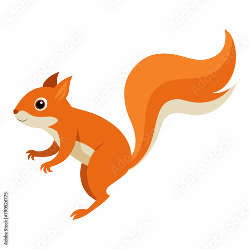 Squirrel vector illustration  a Running squirrel  squirrel eating nut vector