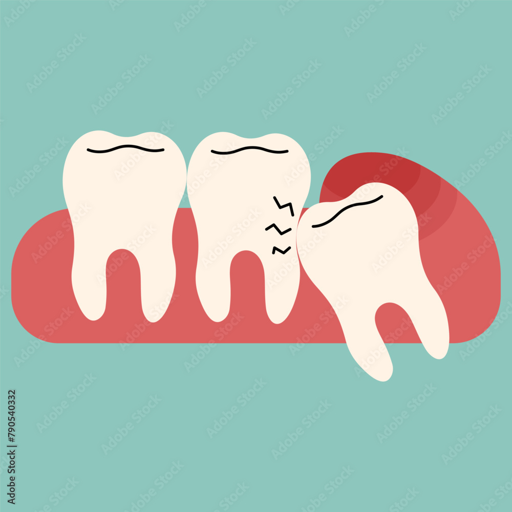 Wisdom teeth single 2 cute on a blue-green background, vector illustration. Wisdom teeth single 2 cute on a blue-green background, vector illustration.