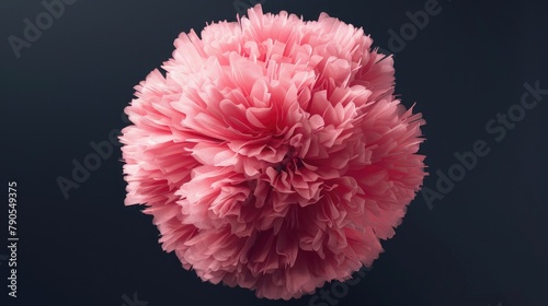 Isolated Detailed Pink Pom Pom