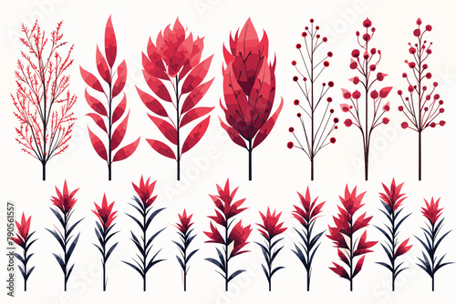 Willow and palm tree branches, fern twigs, lichen moss, mistletoe, savory grass herbs, dandelion flower vector illustrations set. Red pink blue branches, twigs floral collection isolated on white