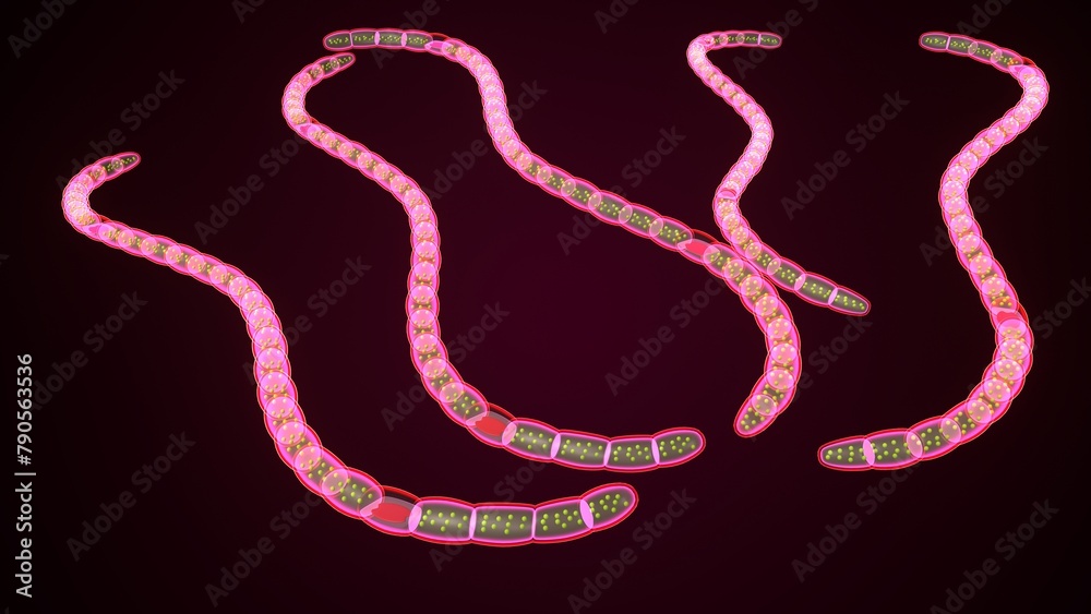 3d illustration of microscopic filamentous structure 3d illustration of microscopic filamentous structure