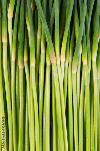 close up of fresh garlic bolt background