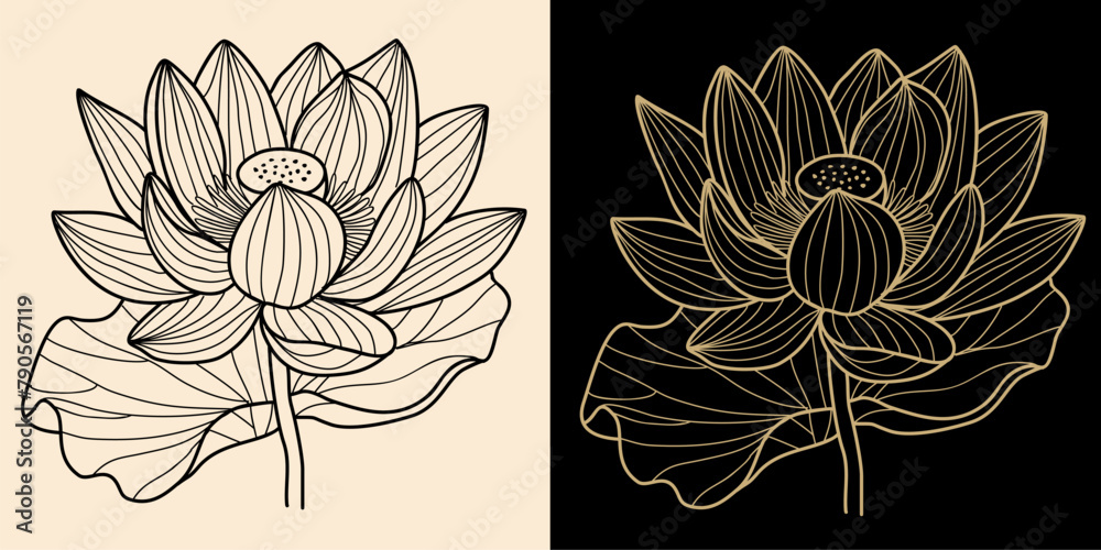 Lotus, Water Lily flower line art drawing. Hand drawn sketch with black