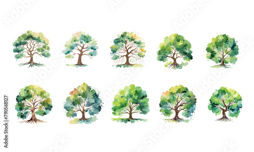 Hand drawn of tree watercolor style, big set collection.	
