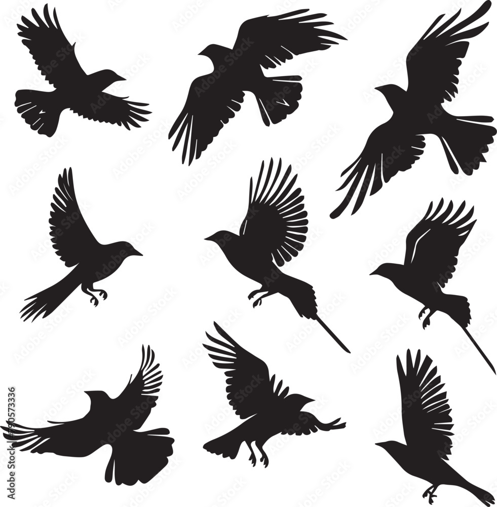 set of silhouettes of birds set of silhouettes of birds