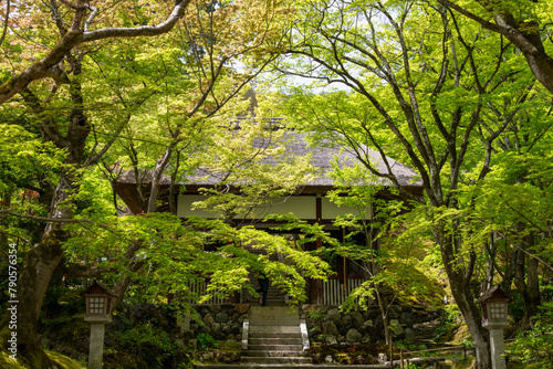 Obraz na płótnie Nio-mon Gate (Gate of Deva) of Jojakko-ji temple in Kyoto, Japan in spring w salonie