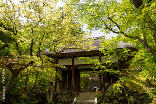 Obraz na płótnie Nio-mon Gate (Gate of Deva) of Jojakko-ji temple in Kyoto, Japan in spring w salonie