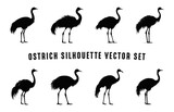Ostrich Silhouette Vector Set, Ostrich Bird Silhouettes collection