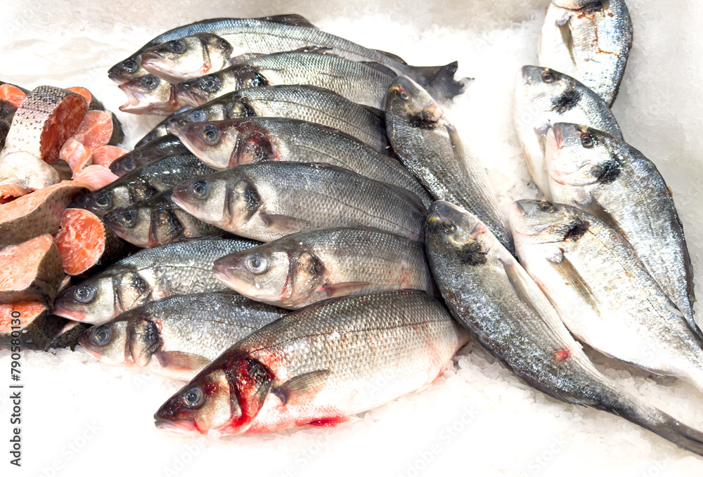 Trout fish in ice on a counter in a market as a background Trout fish in ice on a counter in a market as a background