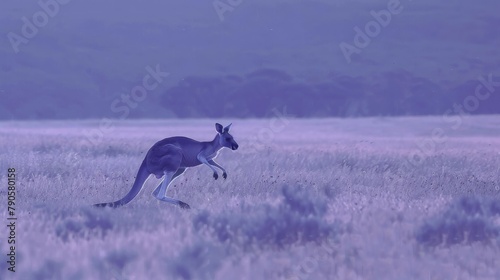 Arranges an aerial shot of a kangaroo leaping through open fields, the patches of warm brown in the landscape echoing the animal s fur, adding to the sense of motion and energy photo