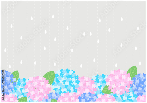 梅雨景色のあじさいフレーム背景14灰色