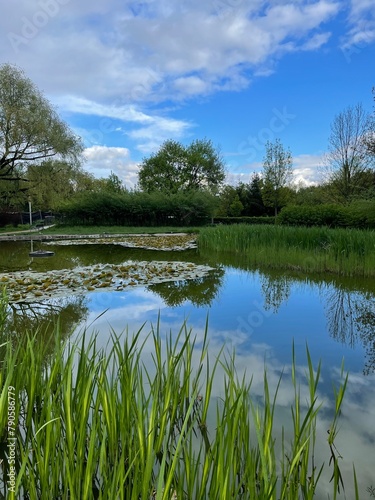 lake in the forest