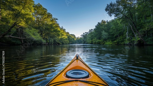 Outdoor sports, kayaking on a calm river, lush green forest background, clear blue sky, mid-action shot © Fokasu Art