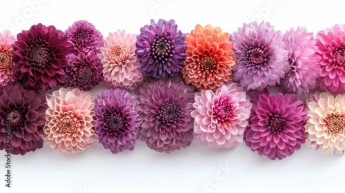 pink, purple, and orange blooms against a white backdrop