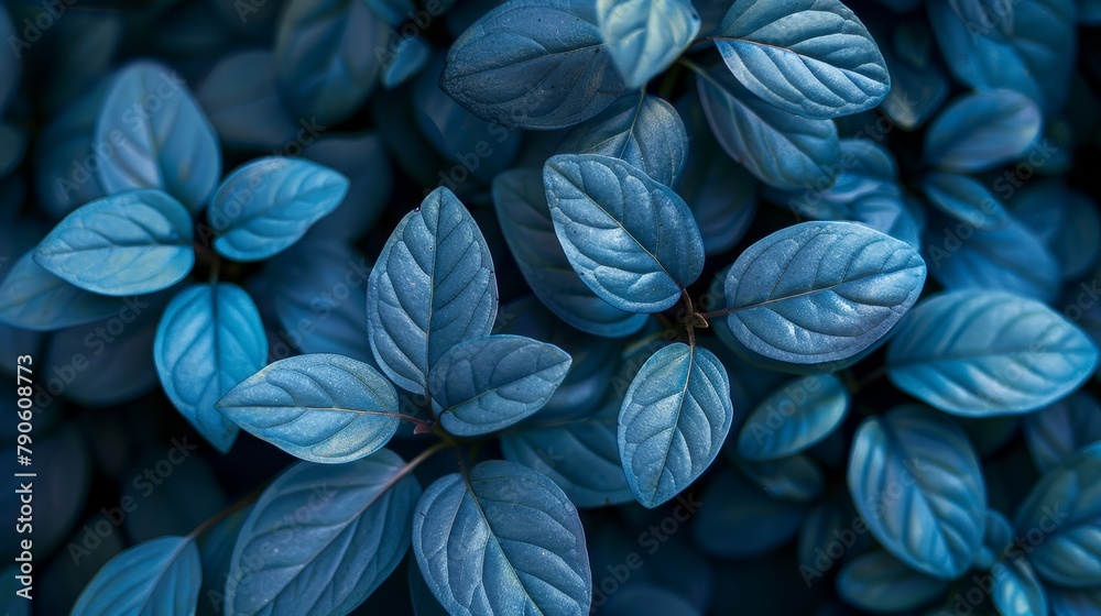 A stack of blue leaves with interspersed green leaves atop them A stack of blue leaves with interspersed green leaves atop them