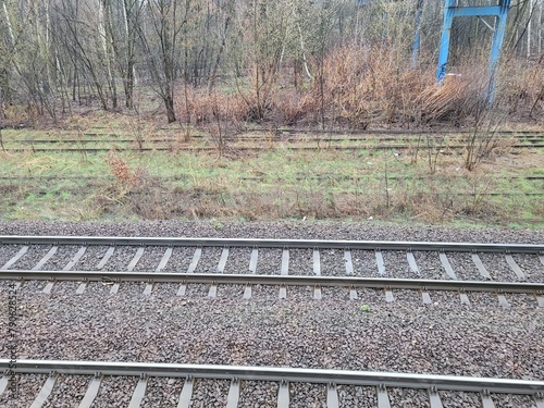 Tory starej, opuszczonej bocznicy kolejowej zarośnięte dzisiaj drzewami i krzakami photo