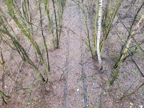 Tory starej, opuszczonej bocznicy kolejowej zarośnięte dzisiaj drzewami i krzakami © Miroslaw