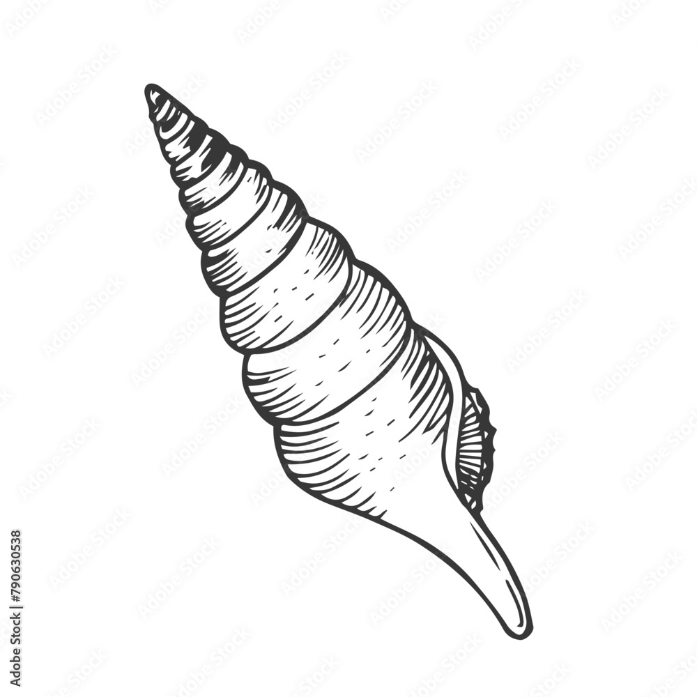 Terebra Dislocata Icon Silhouette Illustration. Seashell Vector Graphic Terebra Dislocata Icon Silhouette Illustration. Seashell Vector Graphic