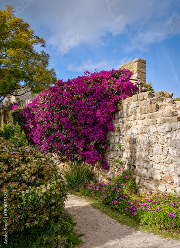 stone wall, Tavira, Portugal, Europe, February 2024