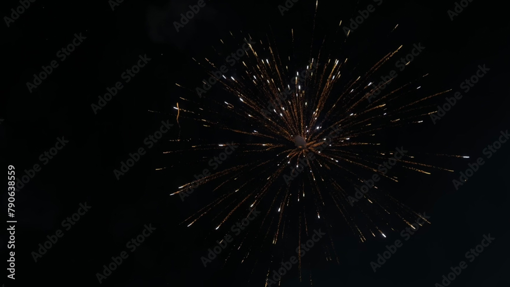 A dazzling display of light and color ignites the night sky. A dazzling display of light and color ignites the night sky.