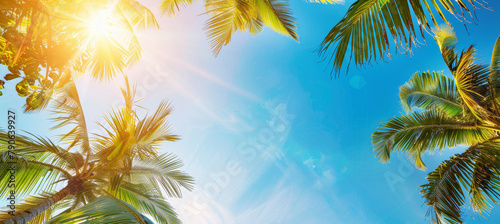 Tropical Background with Palm Trees