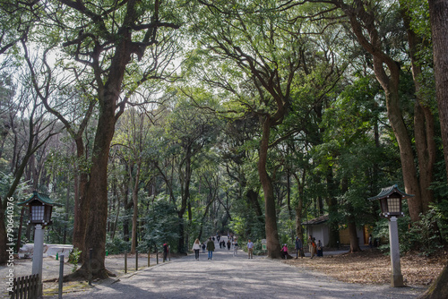 明治神宮の美しい杜の風景