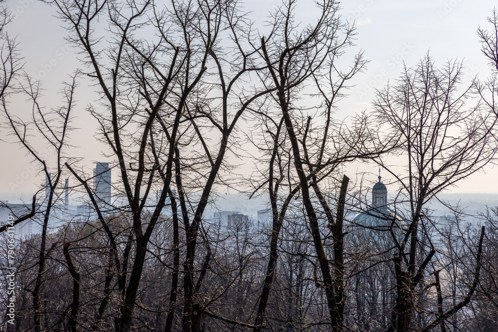 The city of Brescia awakens in the soft haze of spring, with the iconic Duomo dome emerging amidst leafless trees, blending the natural with the urban in a serene tableau