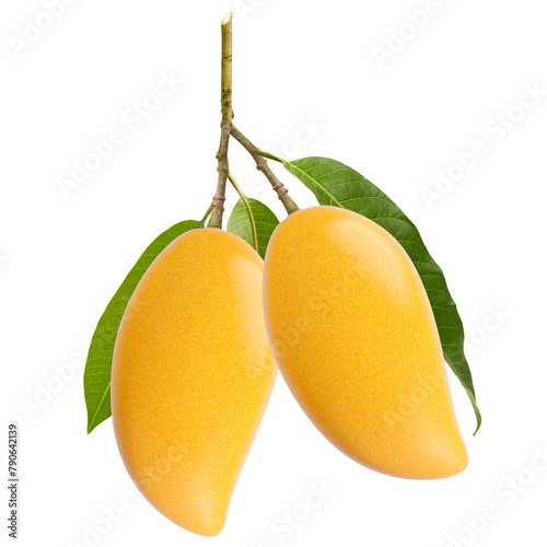 Thai mango on stem with green leaves isolated white background